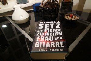 Bücher des Jahres 2015 - Clemens J. Setz: Die Stunde zwischen Frau und Gitarre